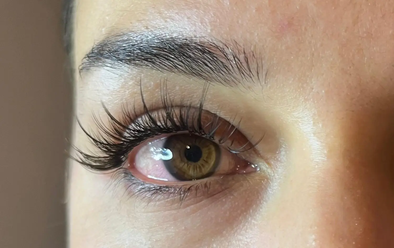 Luxury for Lashes, Augenbrauenlifting